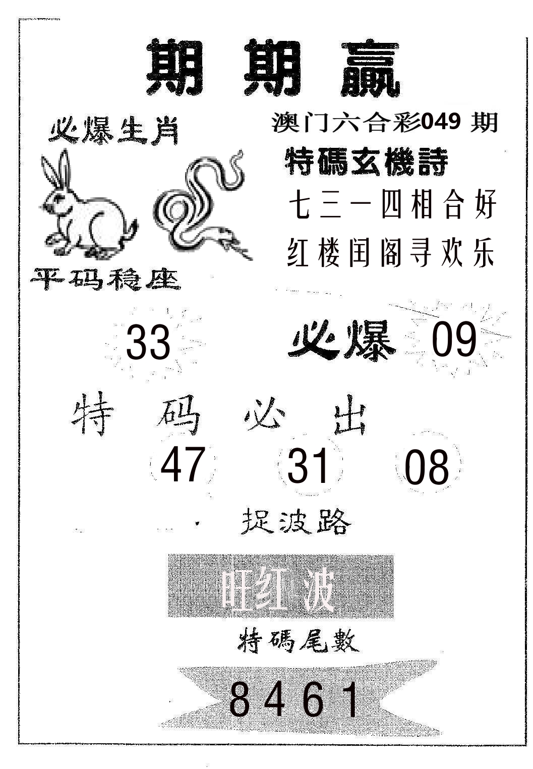 期期赢 第49期
