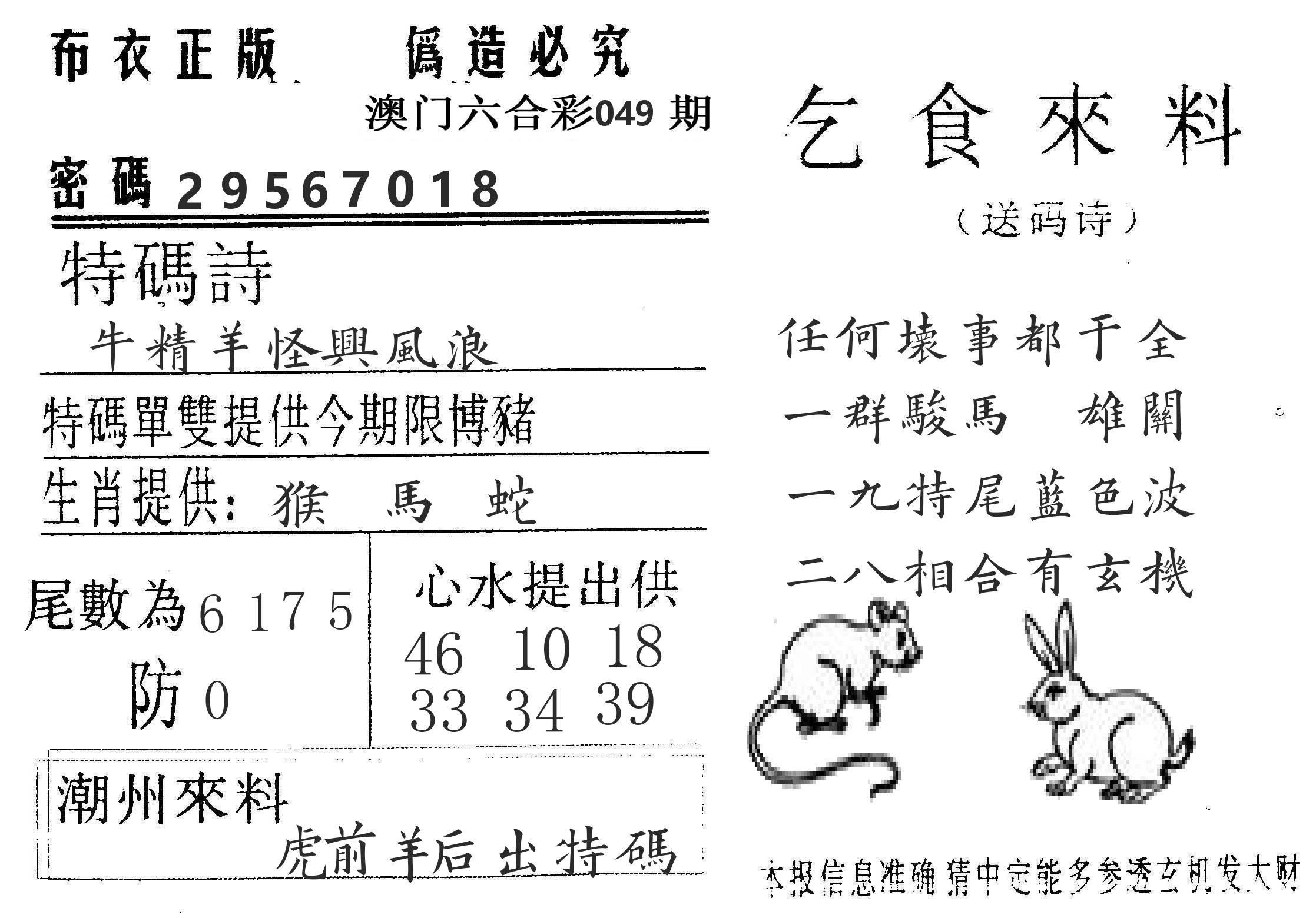 千禧码王 第49期