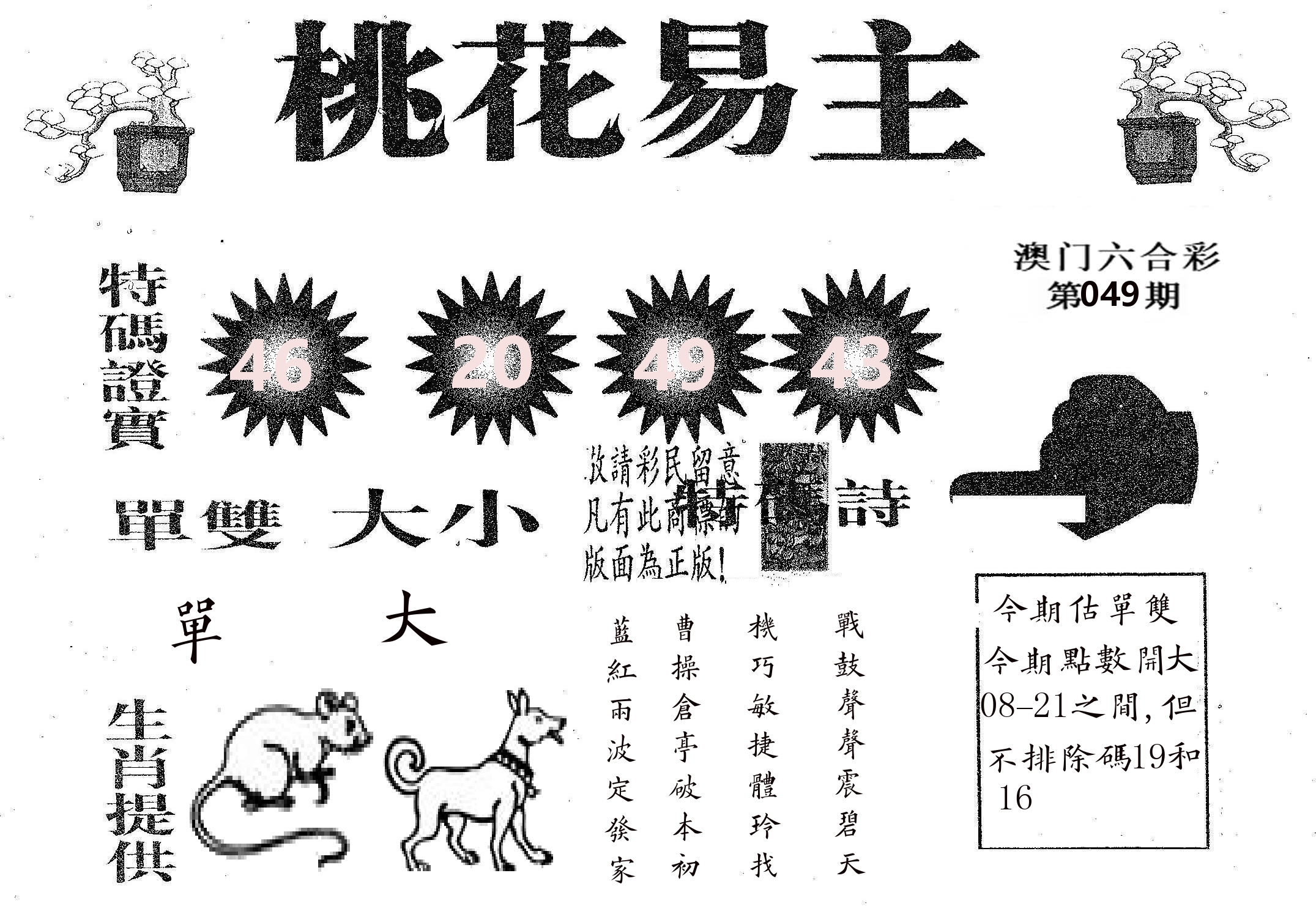 桃花易主 第49期