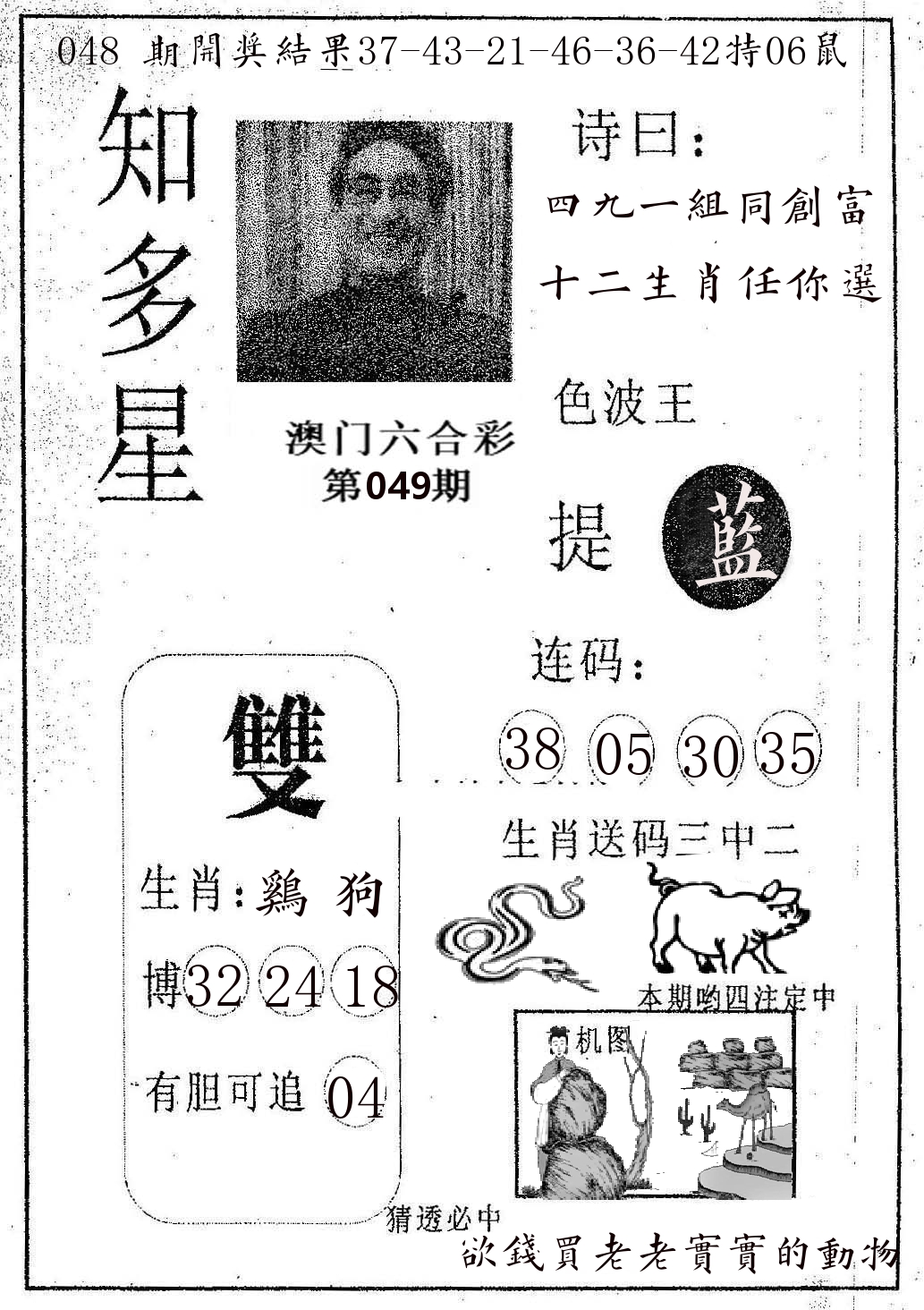 知多星 第49期