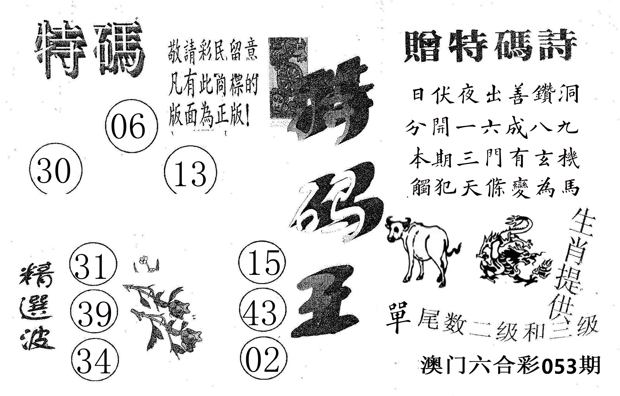 特码王A 第53期