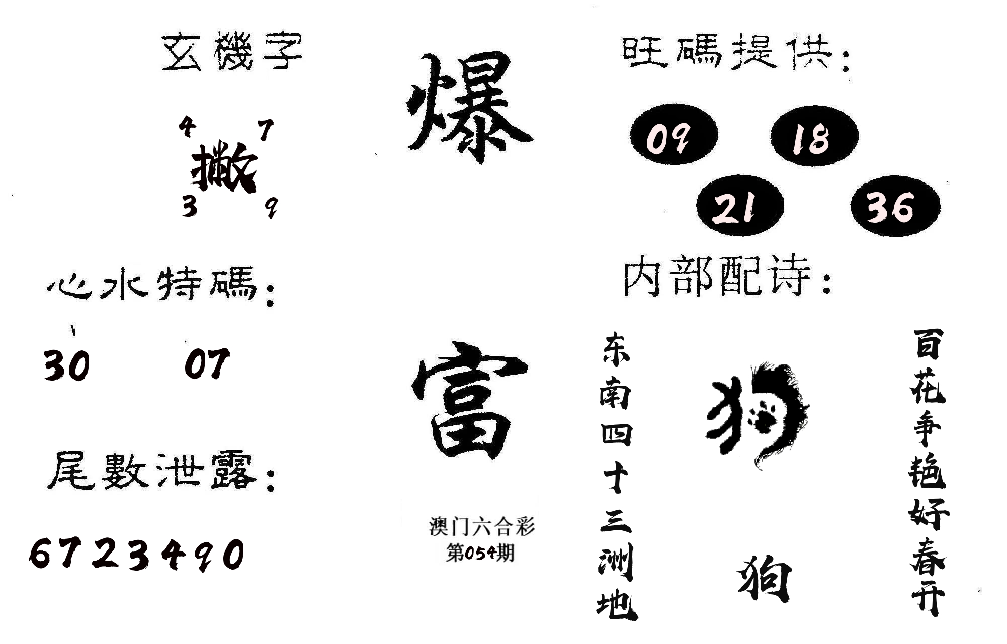 爆富 第54期