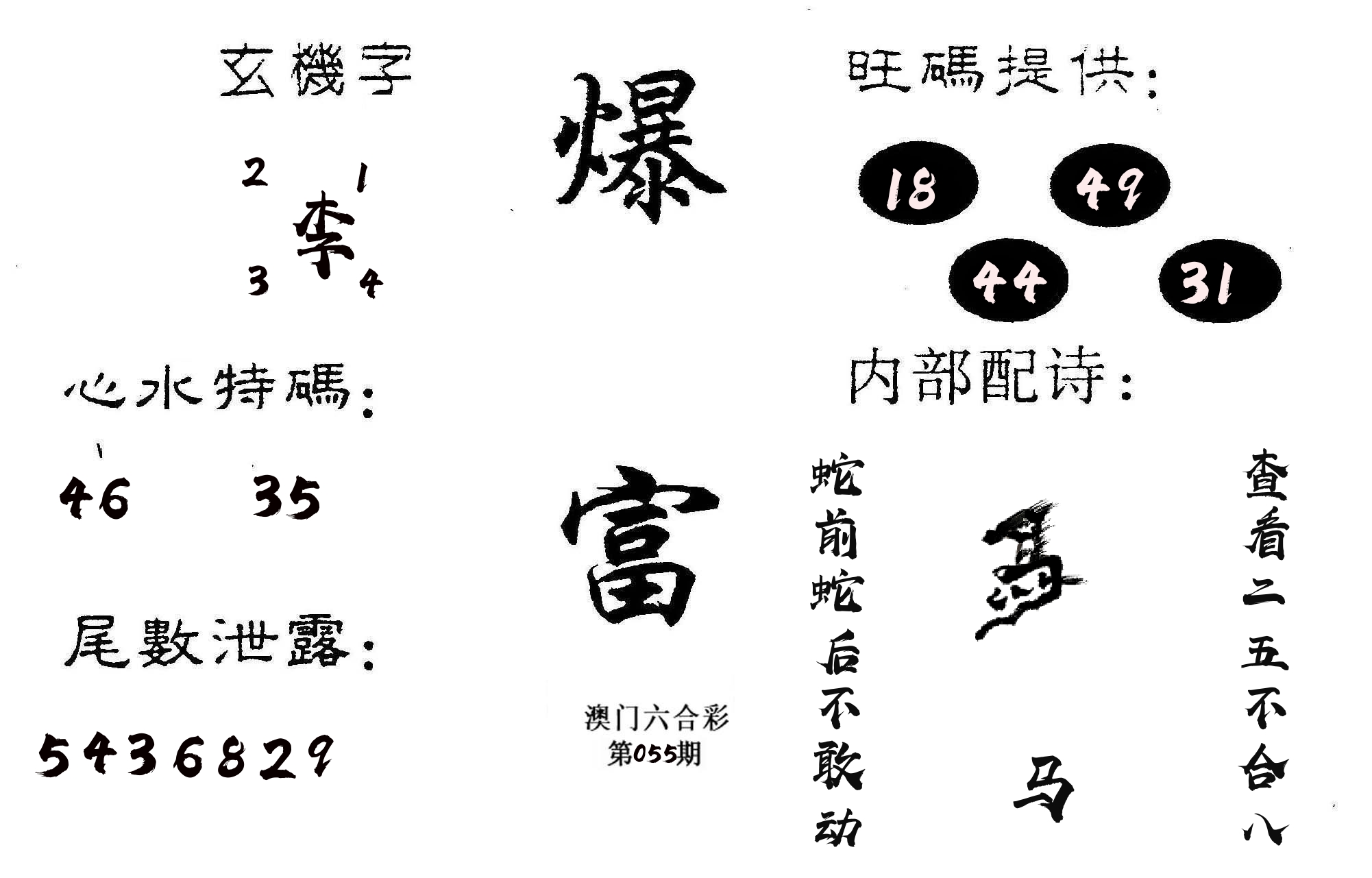 爆富 第55期