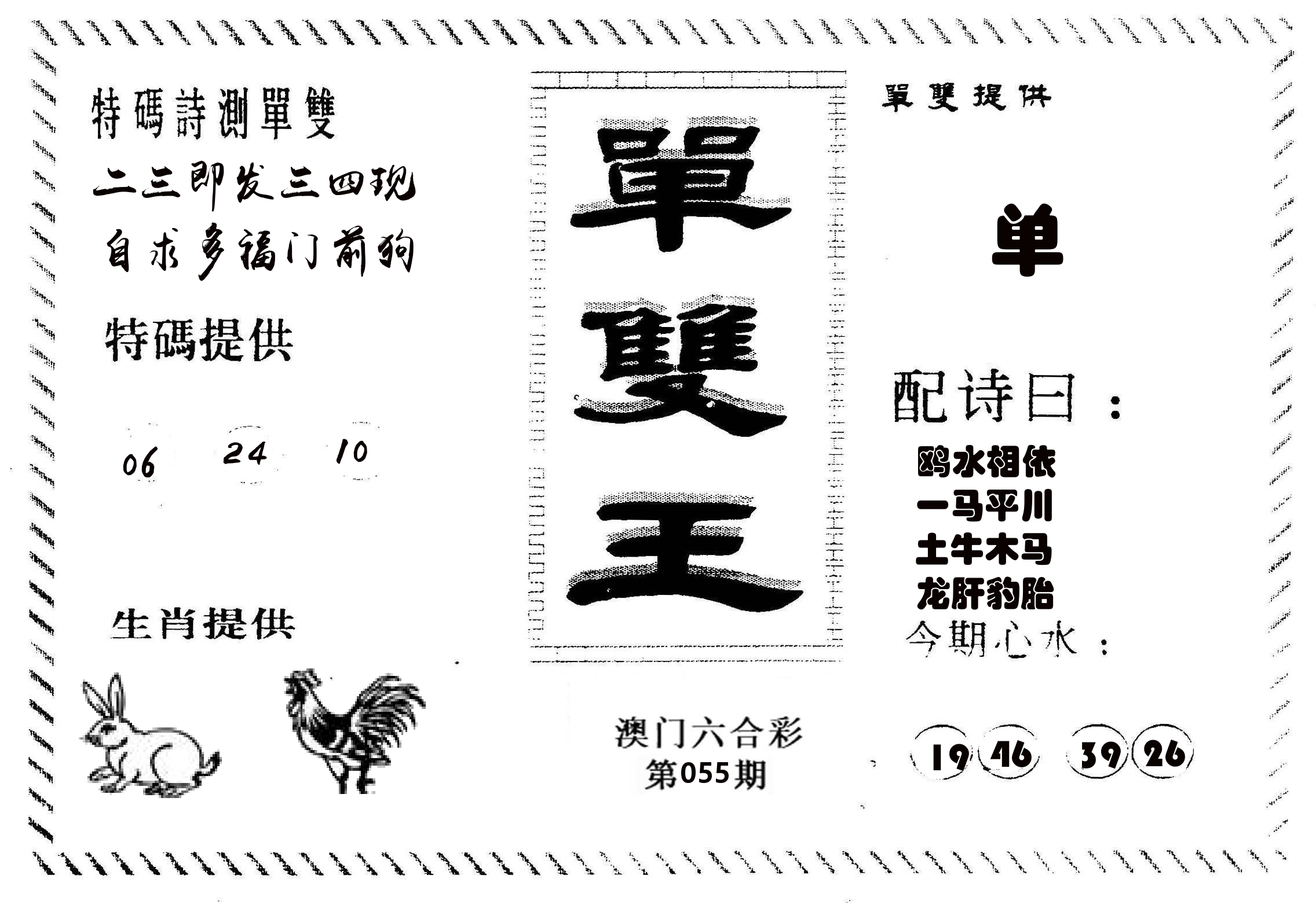 单双王B 第55期