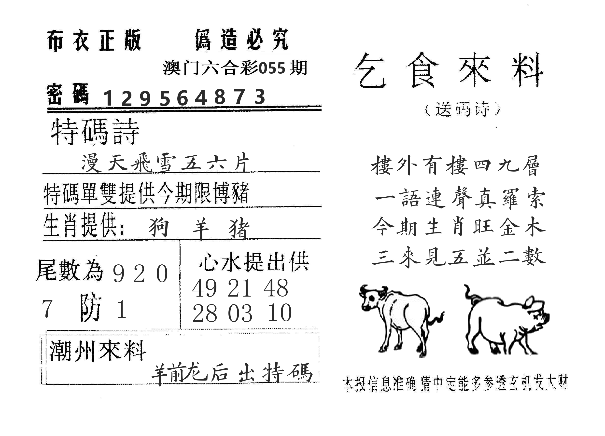 乞食来料 第55期