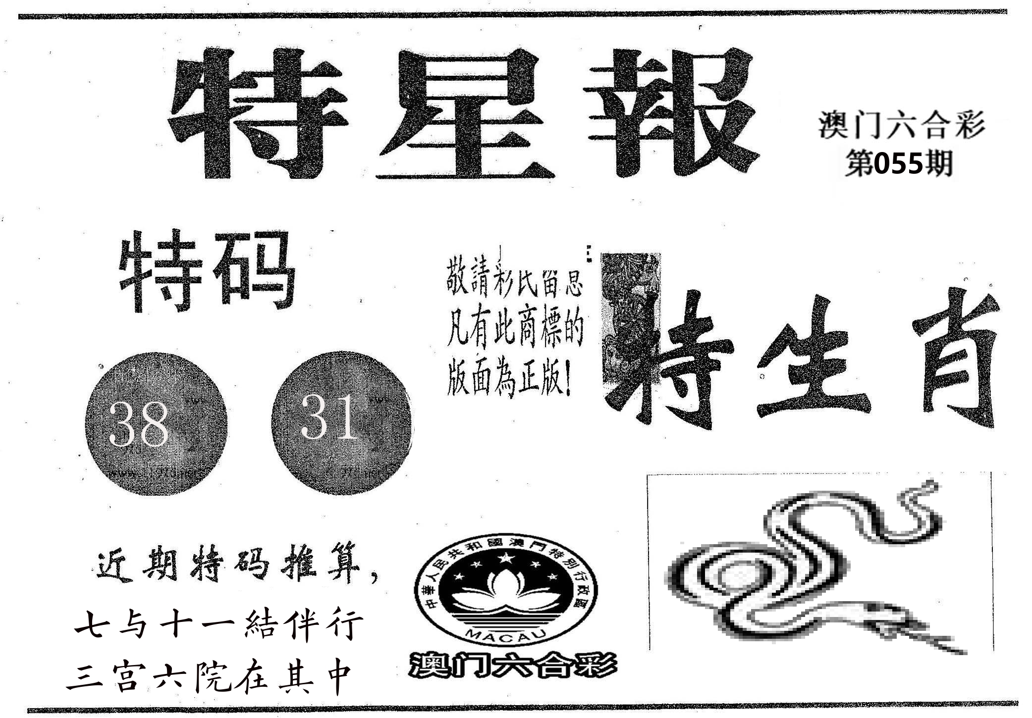 特星报 第55期