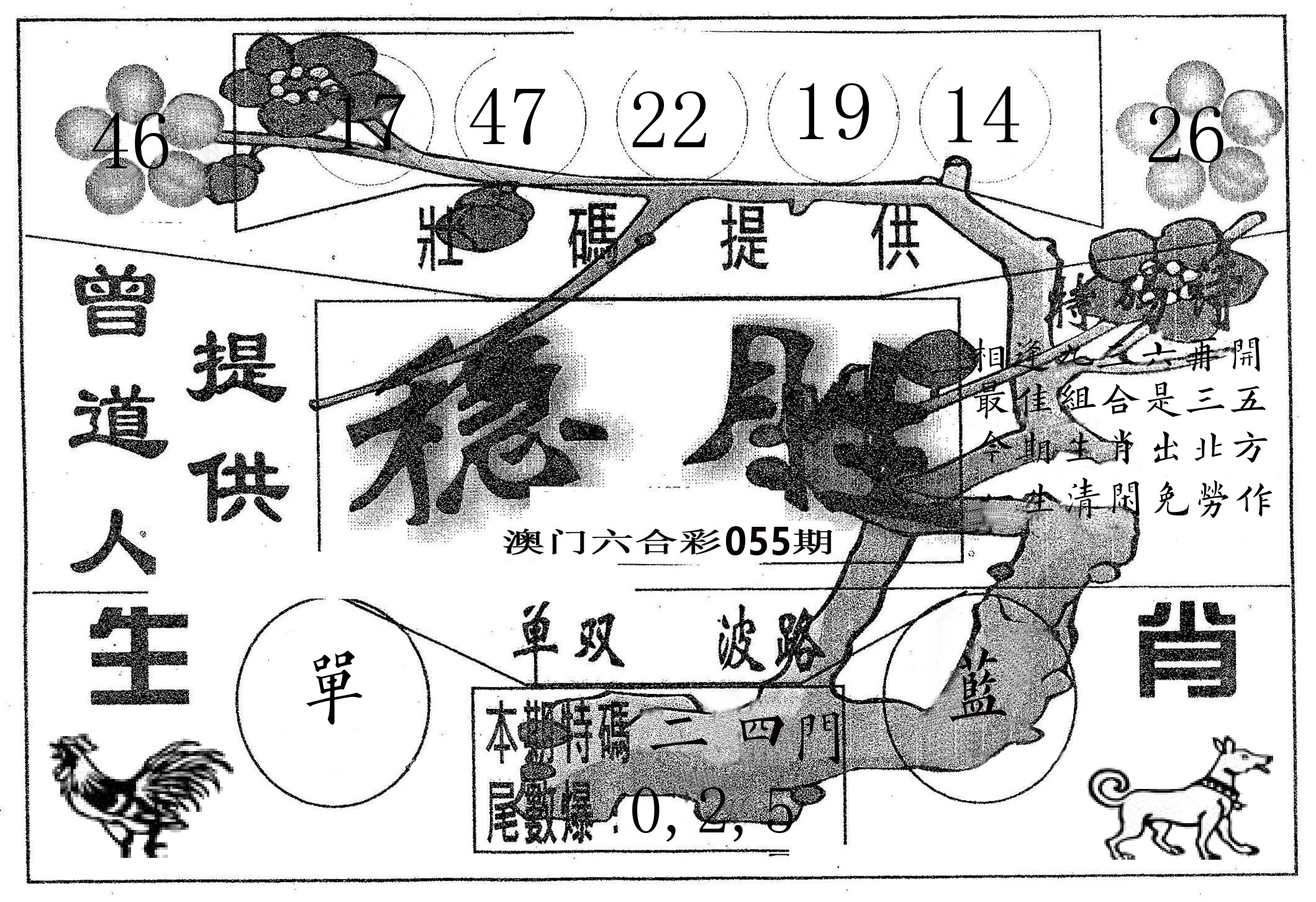 稳胜 第55期