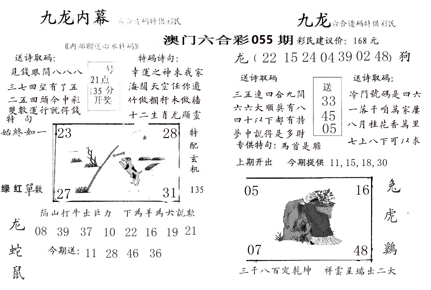 九龙内幕 第55期