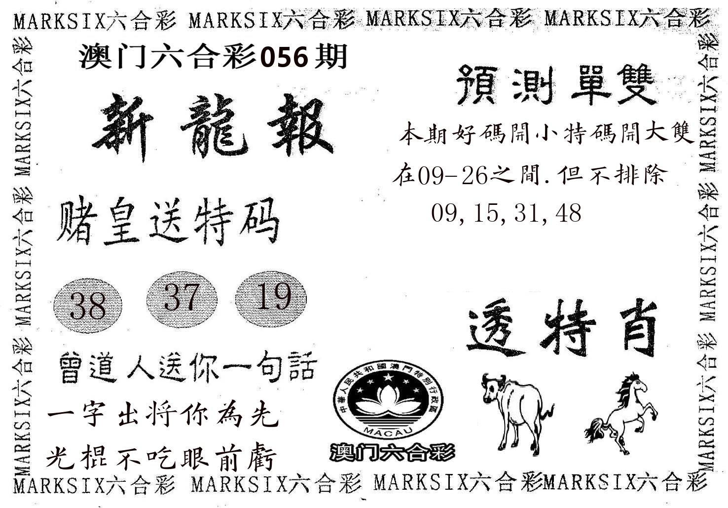 新龙报 第56期