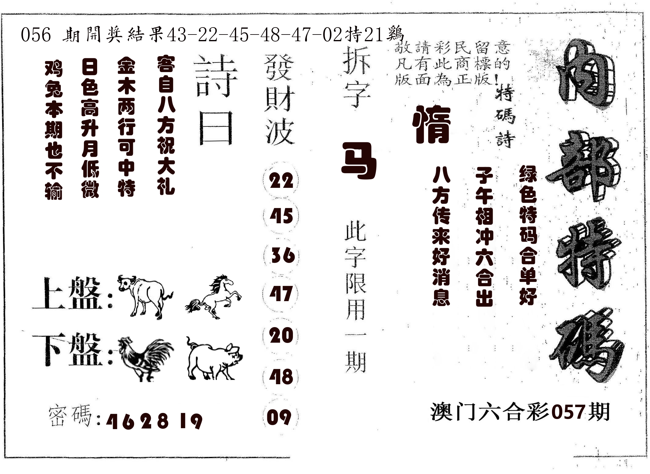 内部特码 第57期