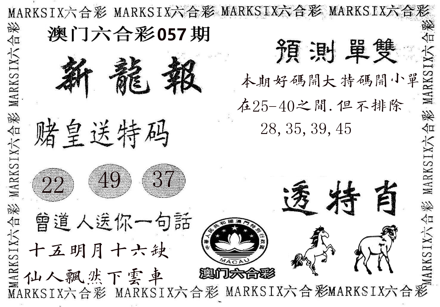 新龙报 第57期