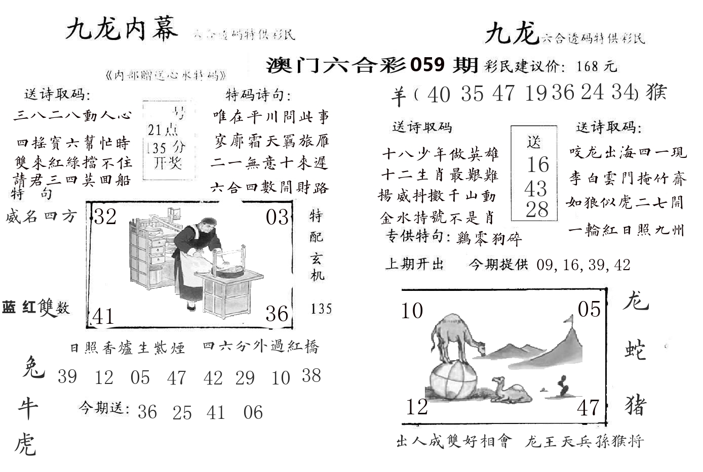 九龙内幕 第59期