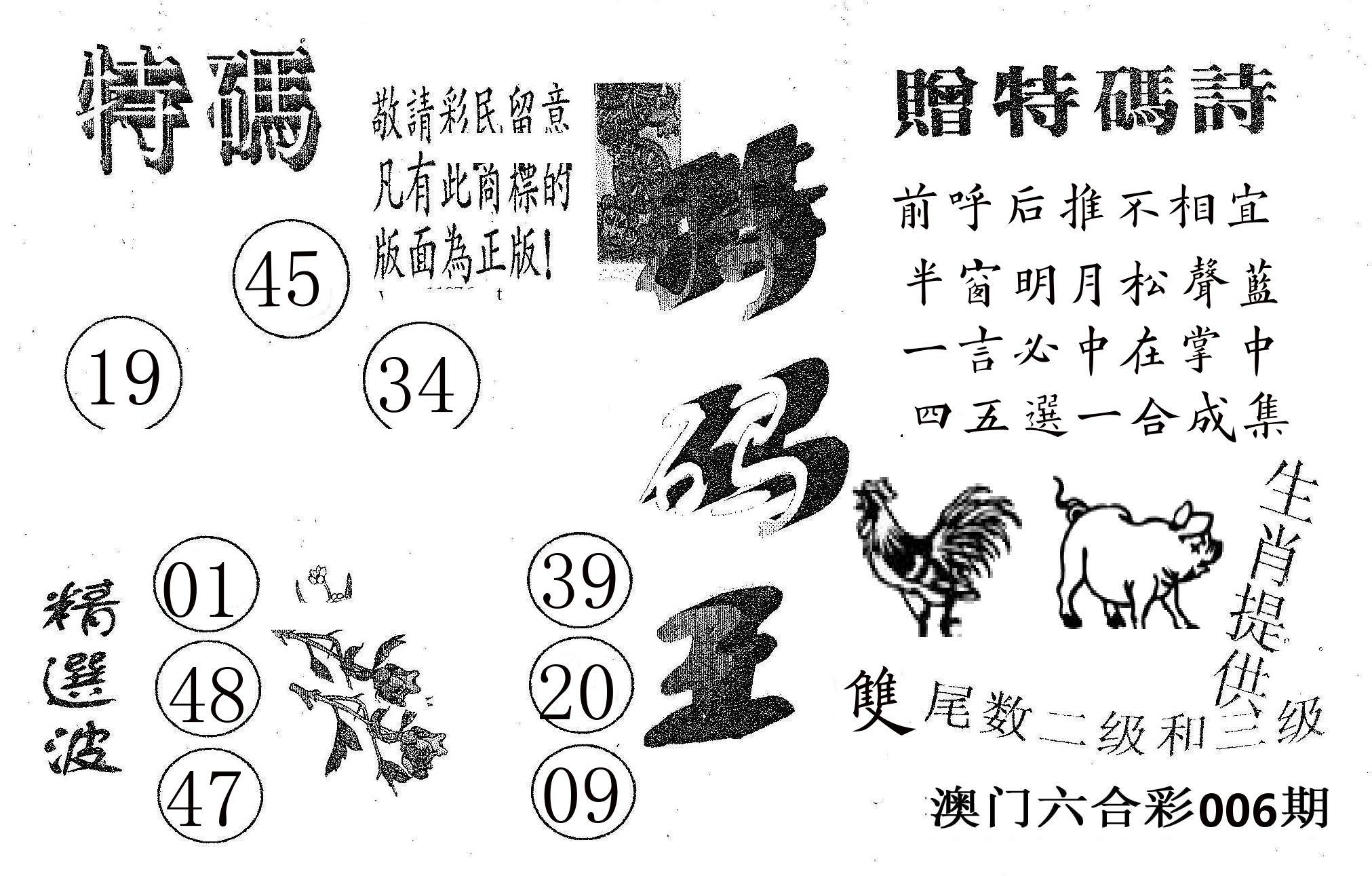 特码王A 第6期