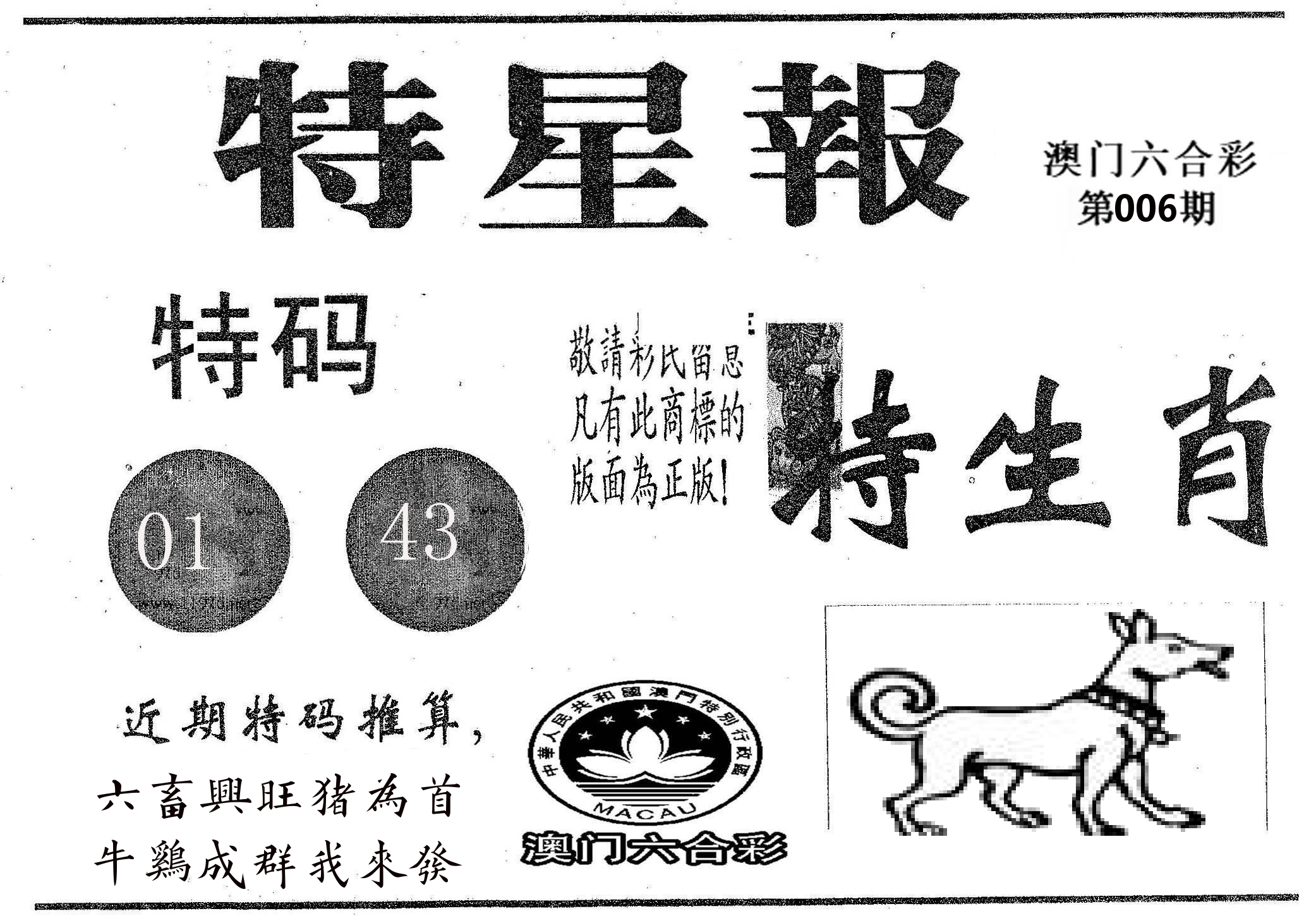 特星报 第6期