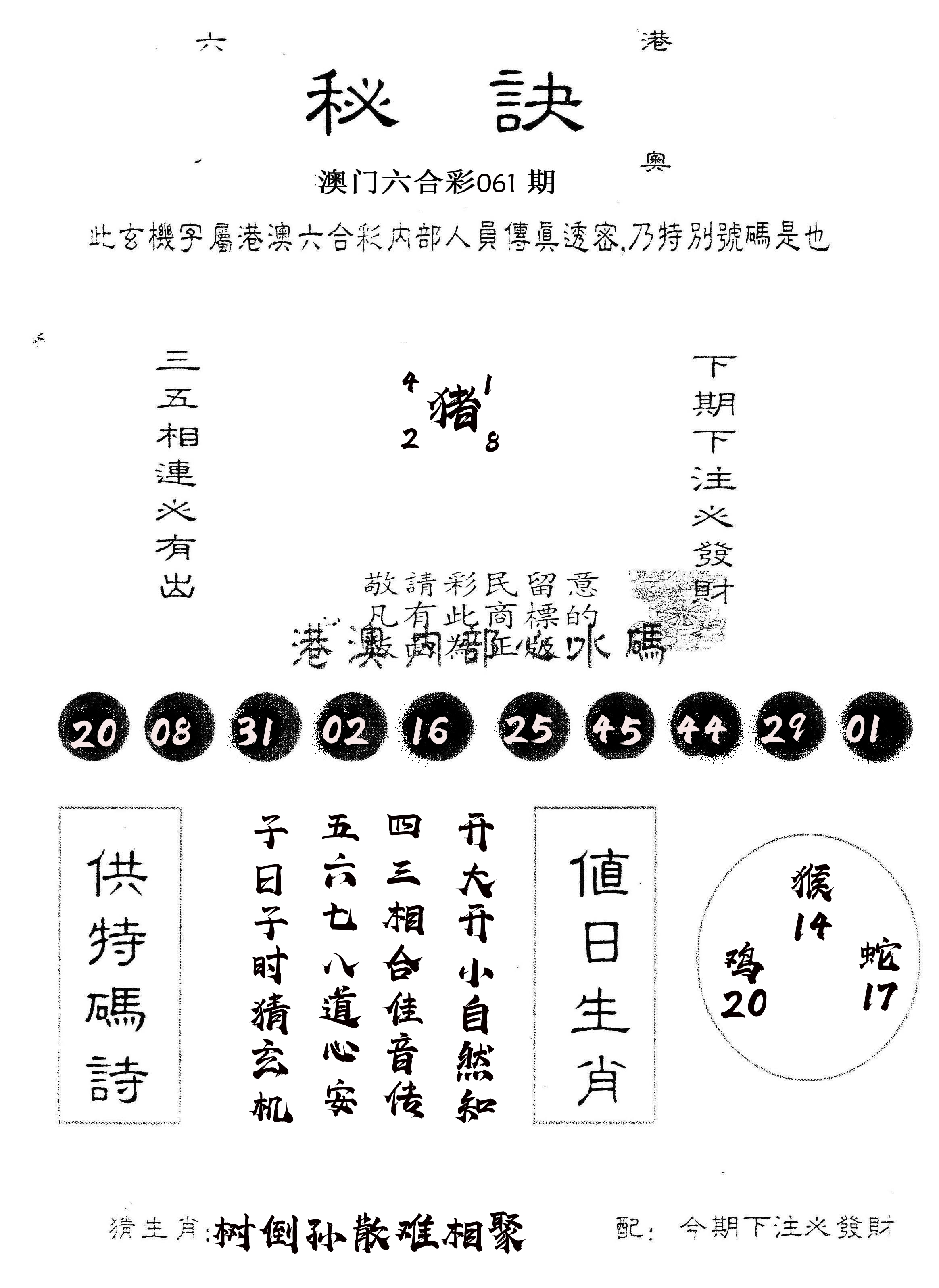 另版秘诀 第61期