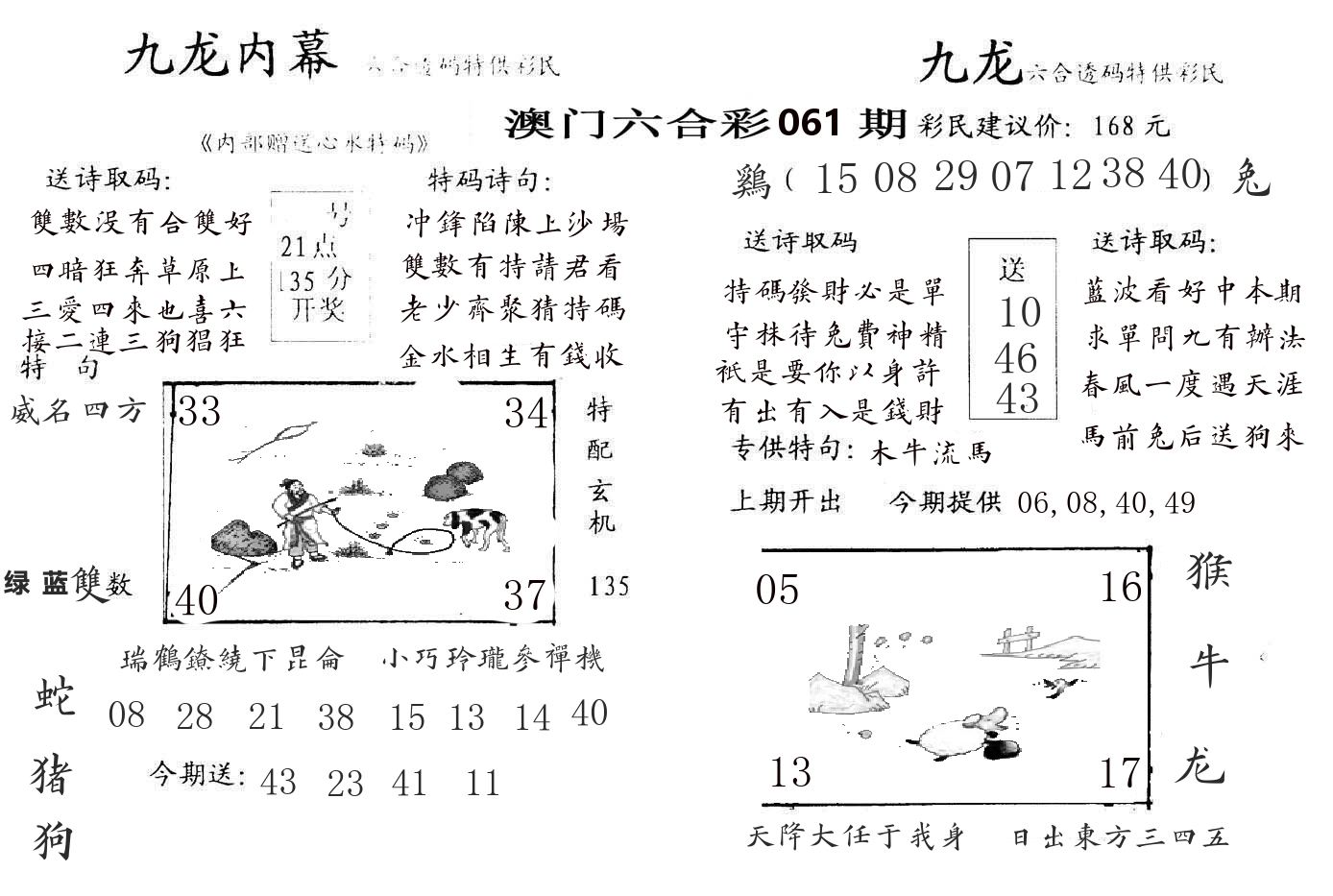 九龙内幕 第61期