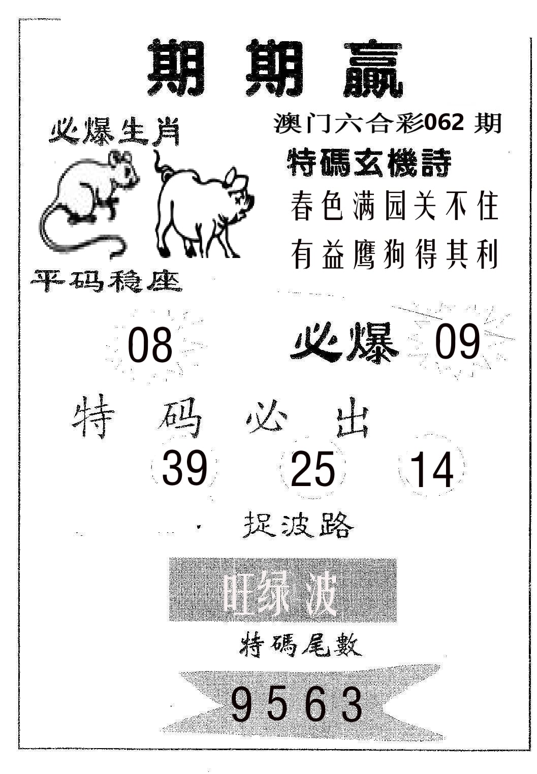 期期赢 第62期