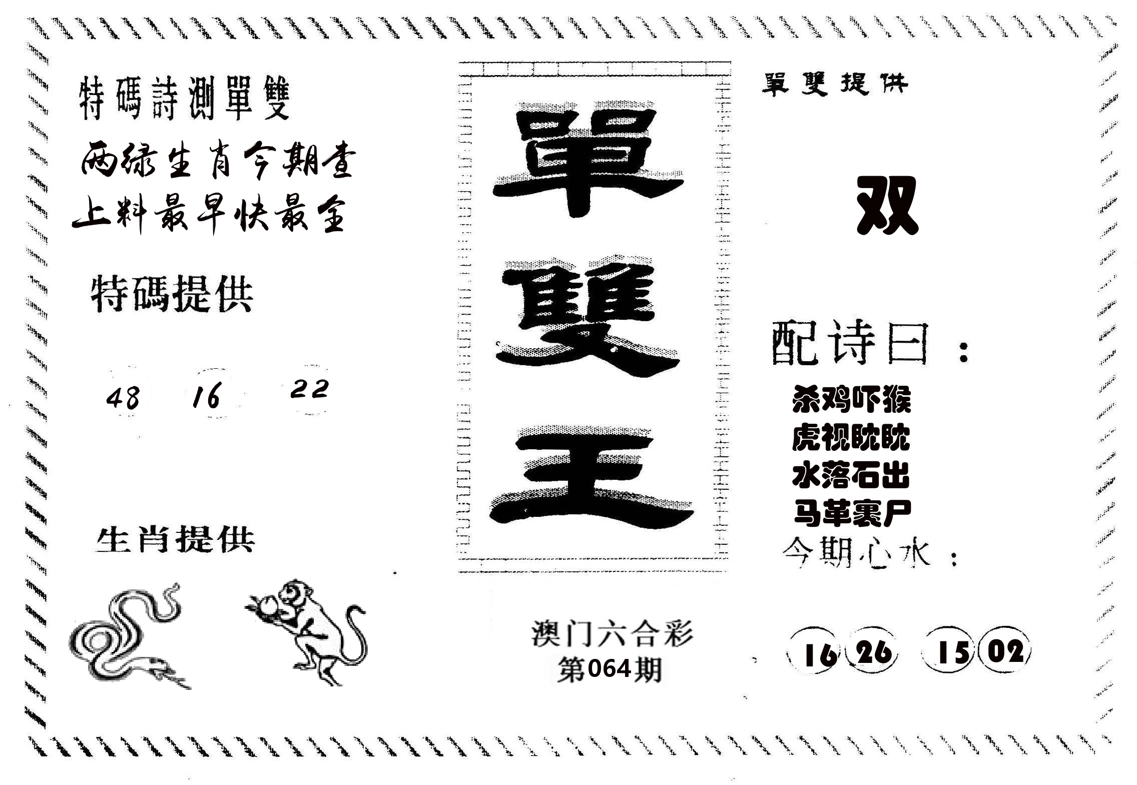 单双王B 第64期