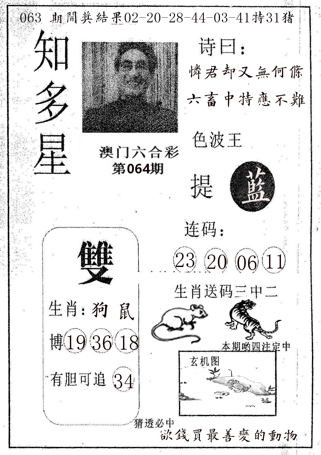 知多星 第64期