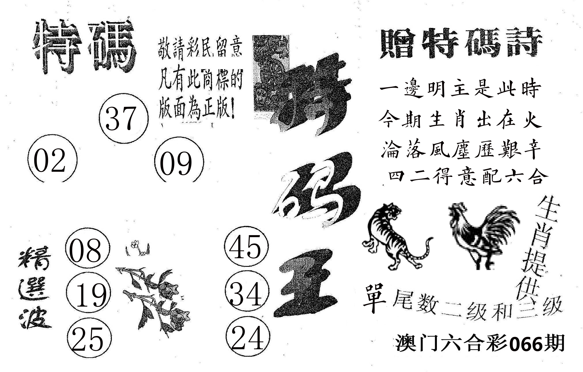特码王A 第66期