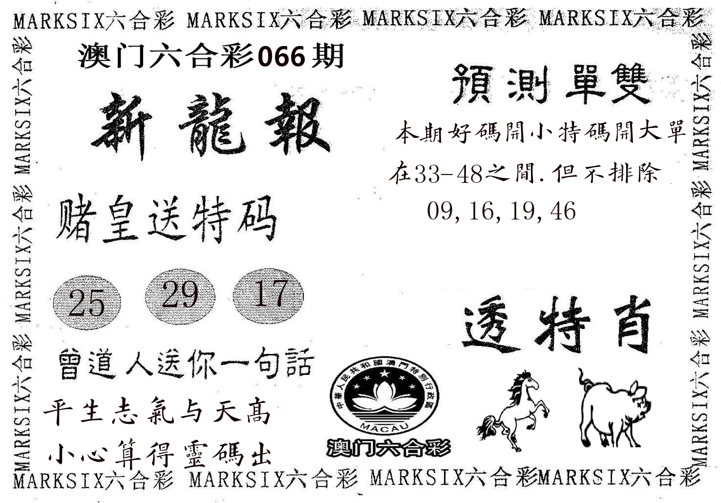 新龙报 第66期