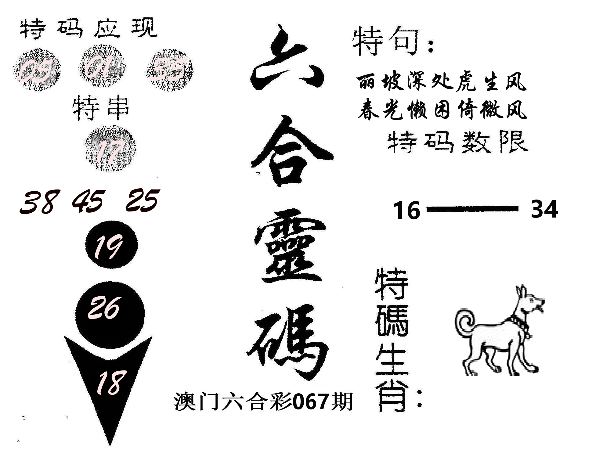 六合灵码 第67期