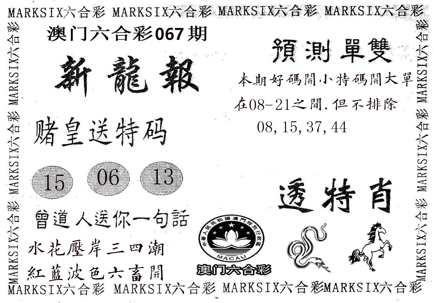 新龙报 第67期
