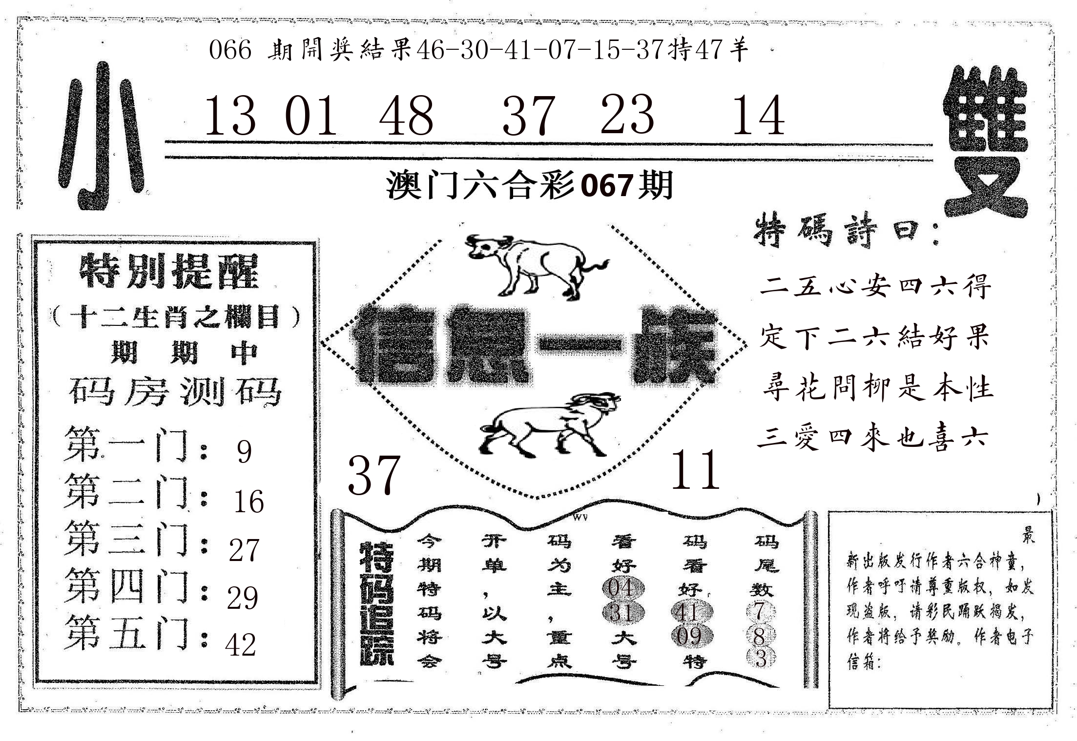 信息一族 第67期