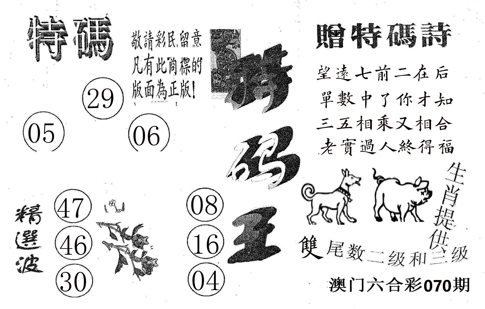 特码王A 第70期
