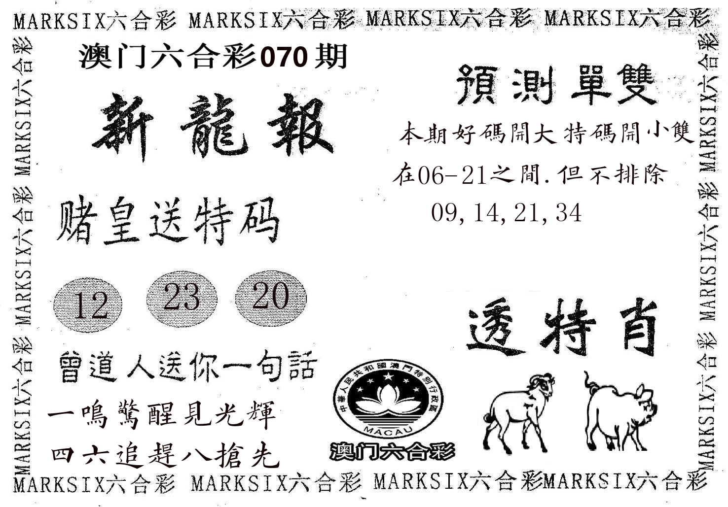 新龙报 第70期