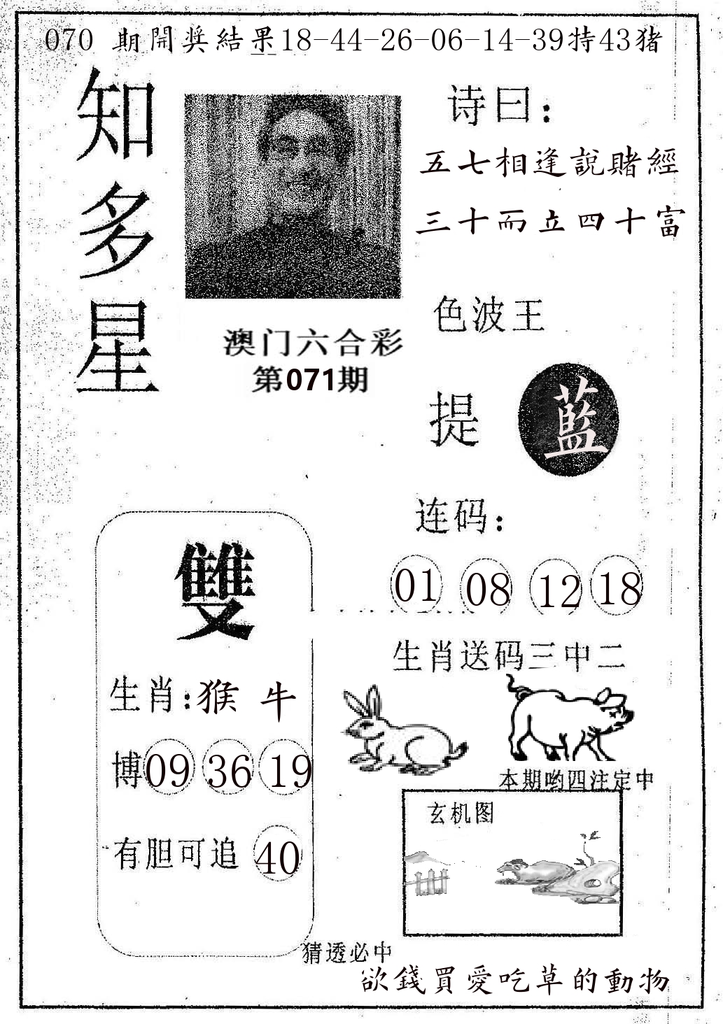 知多星 第71期