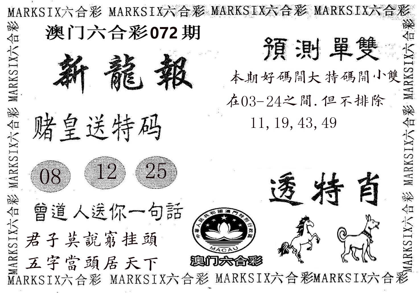新龙报 第72期