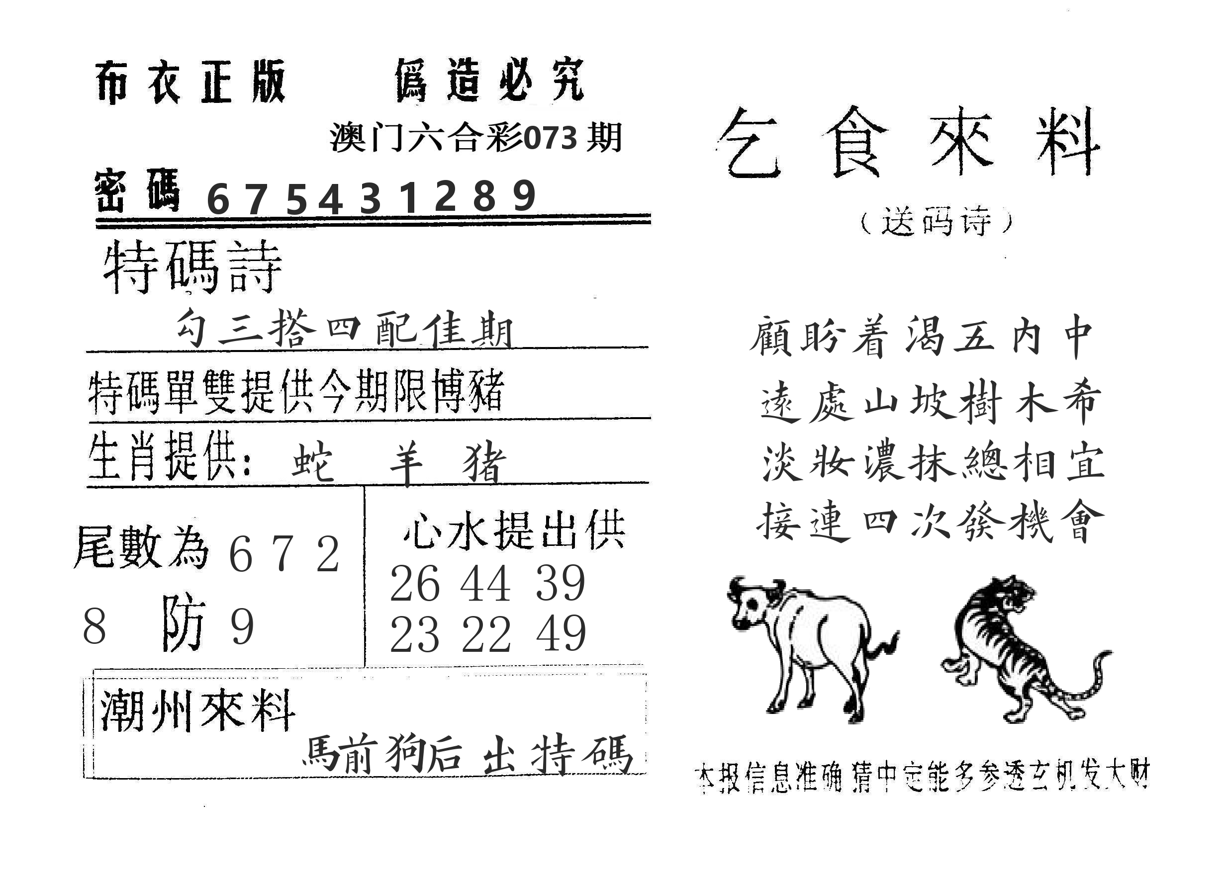 乞食来料 第73期