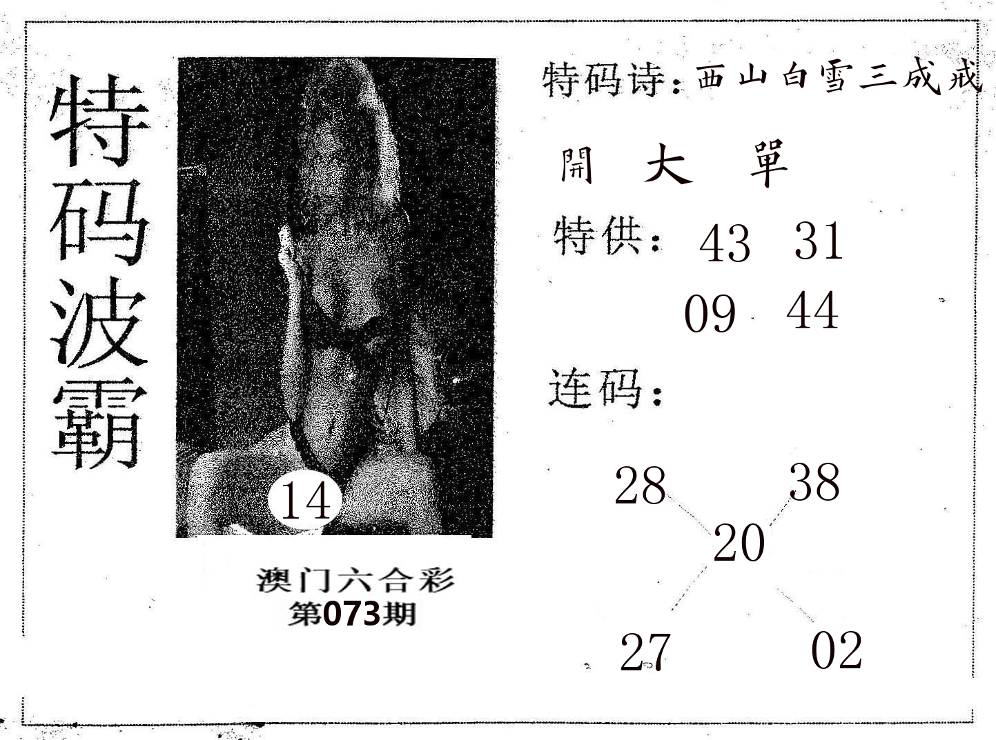 特码波霸 第73期