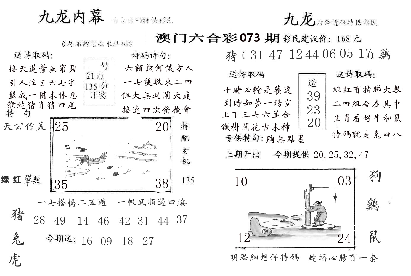 九龙内幕 第73期
