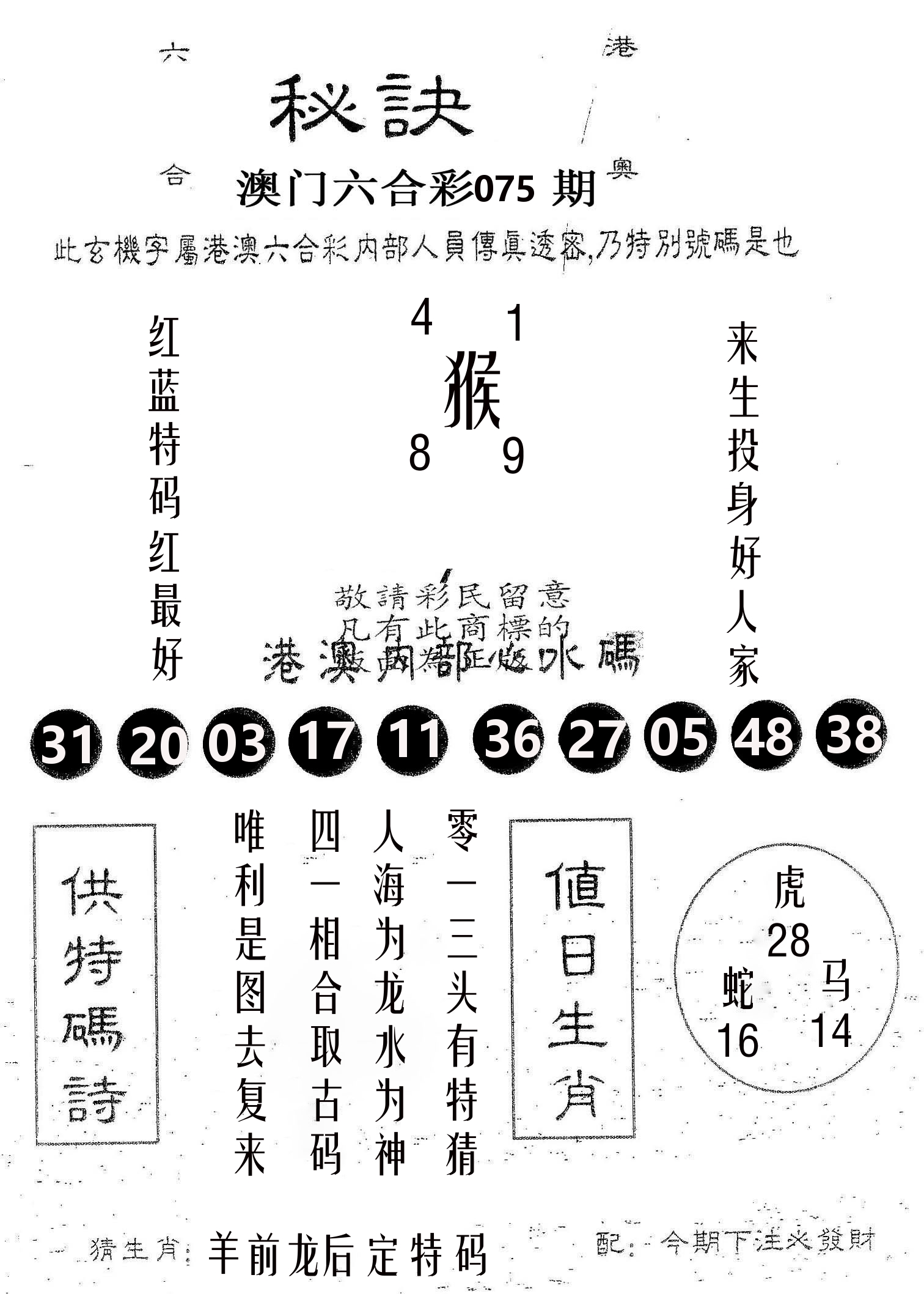 秘决 第75期