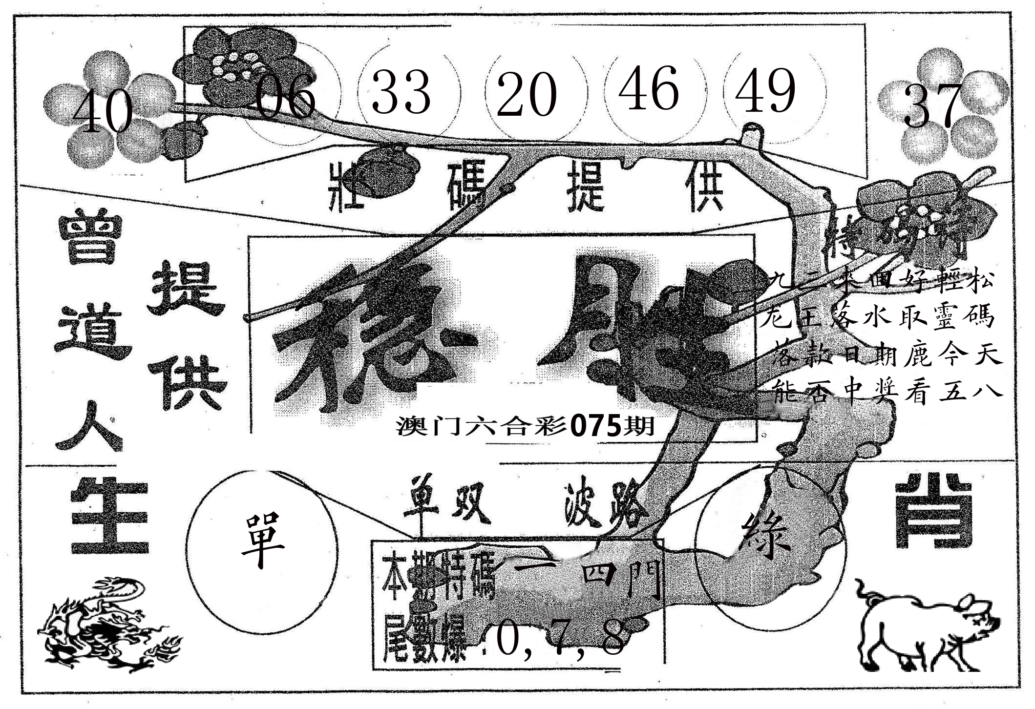 稳胜 第75期