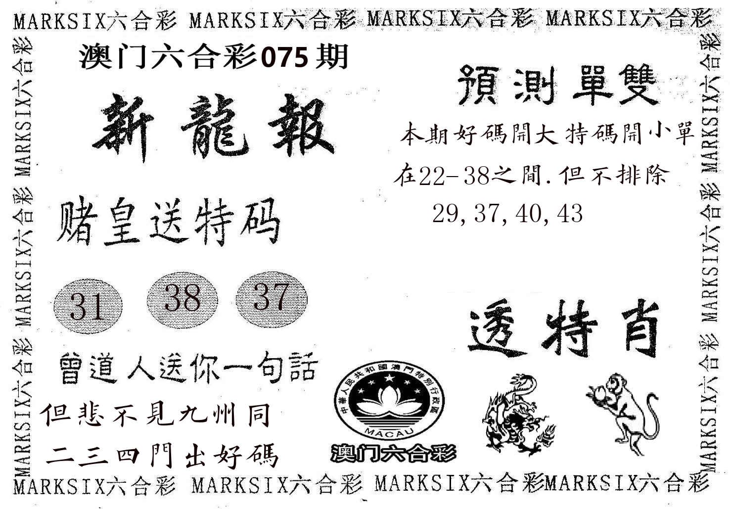 新龙报 第75期