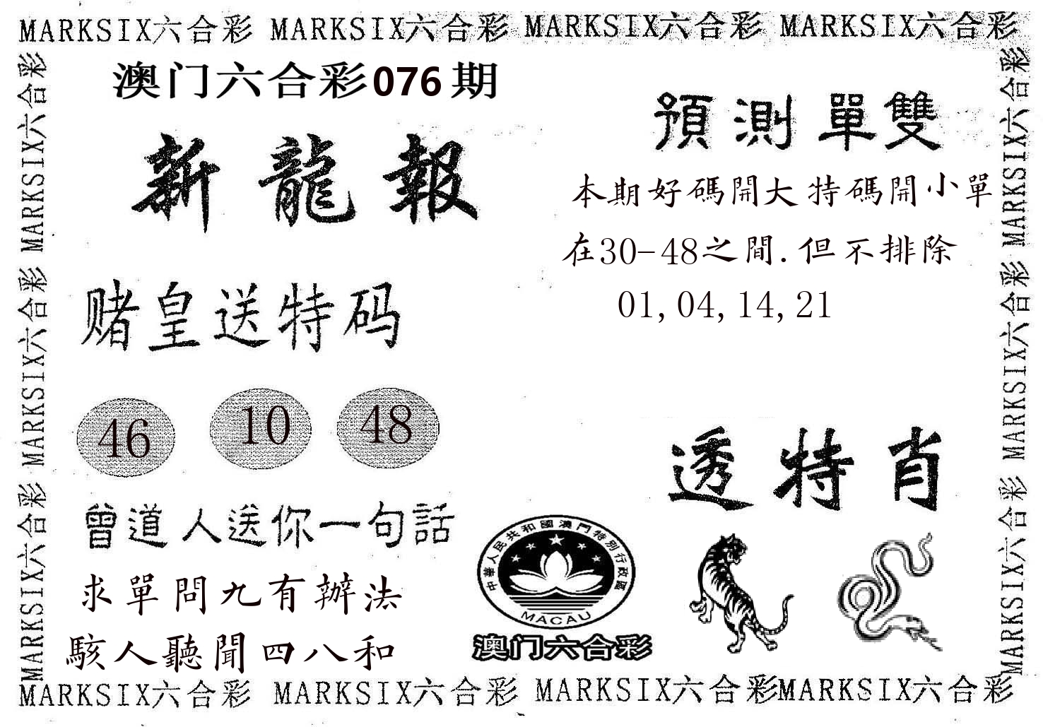 新龙报 第76期