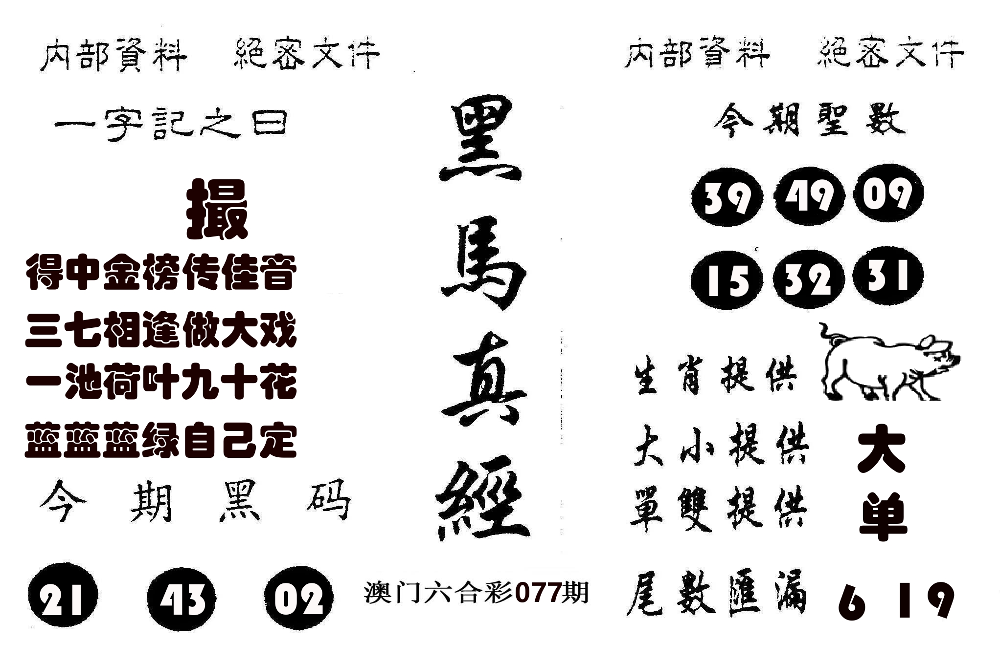 黑马真经 第77期