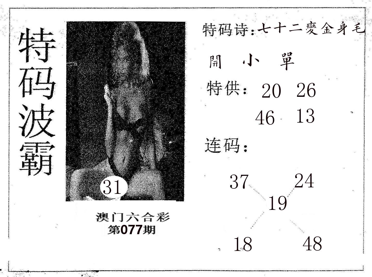 特码波霸 第77期