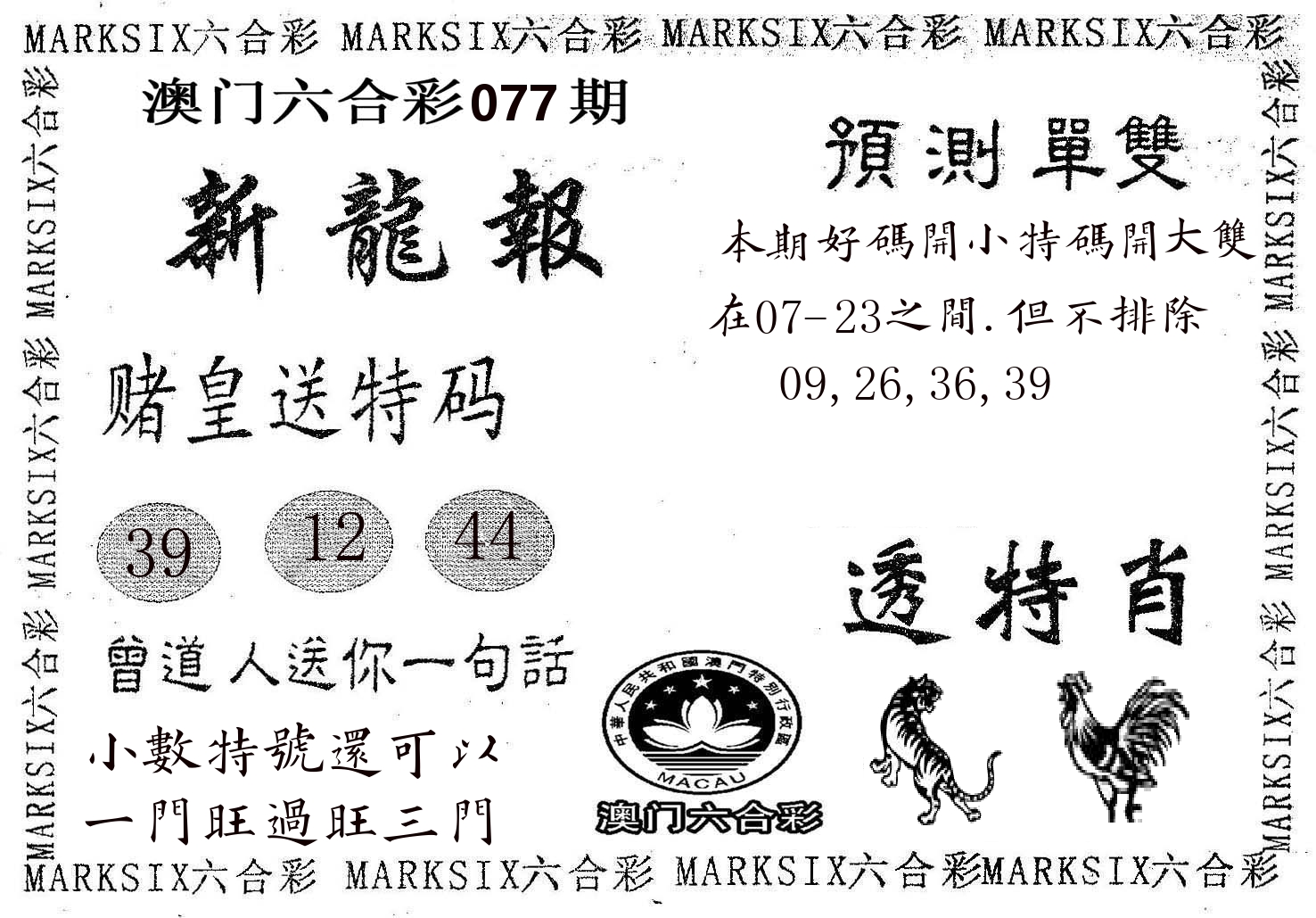 新龙报 第77期
