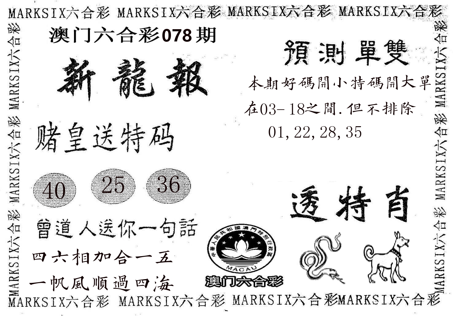 新龙报 第78期