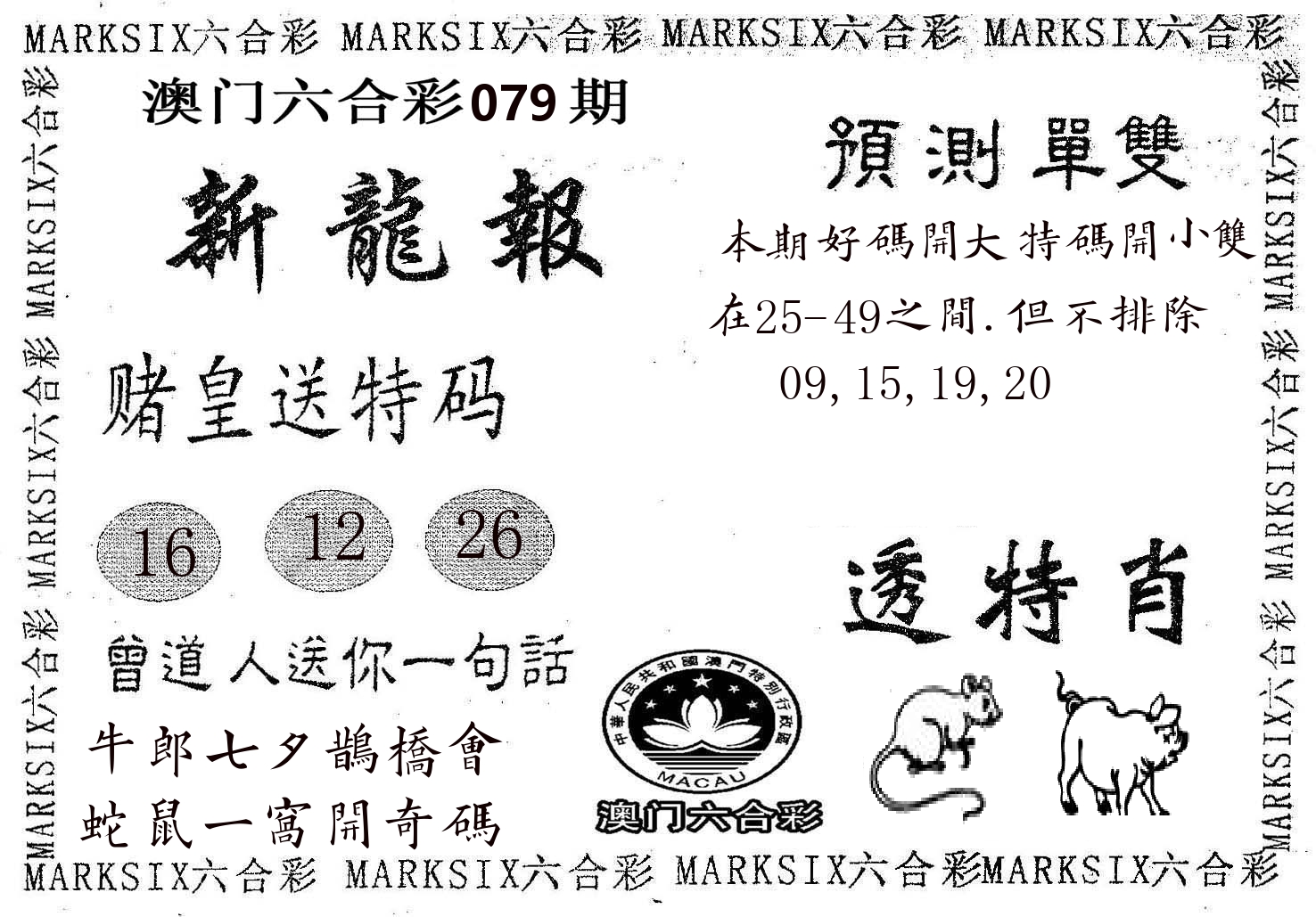 新龙报 第79期