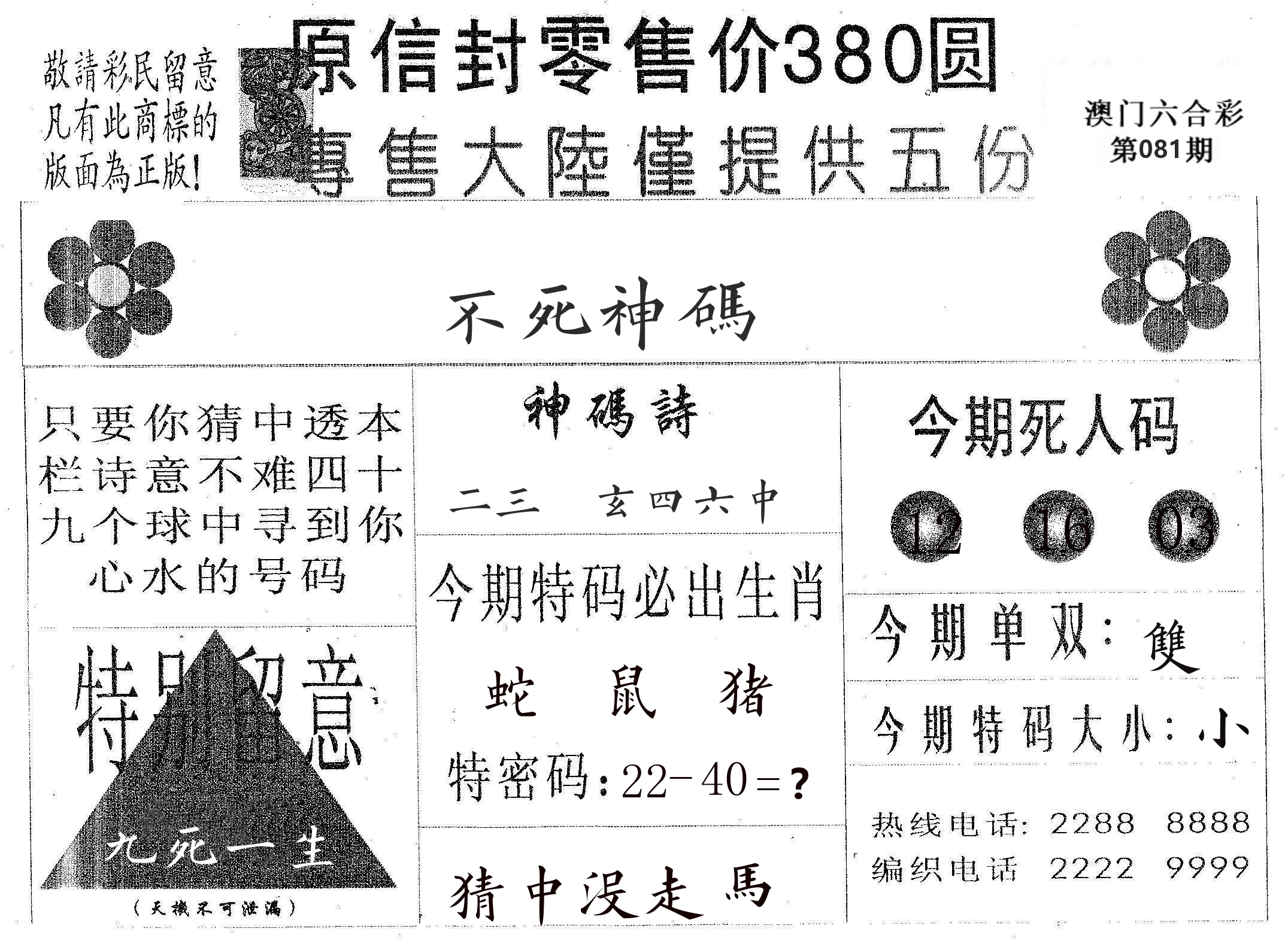 不死码A 第81期