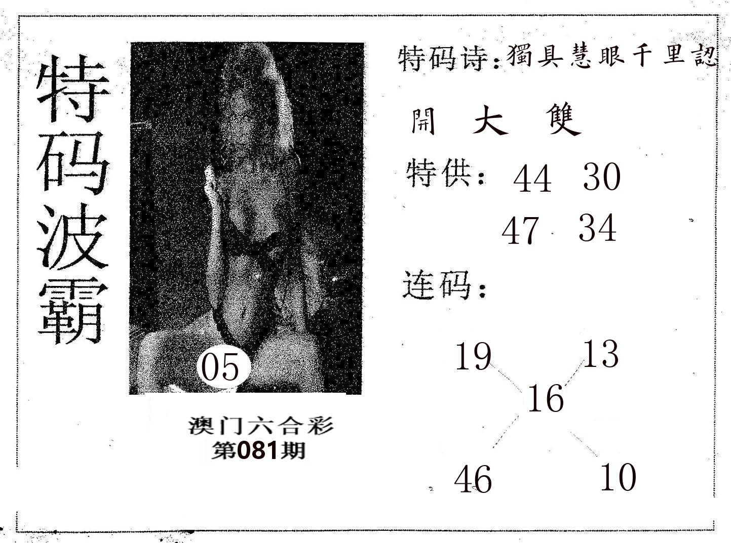 特码波霸 第81期