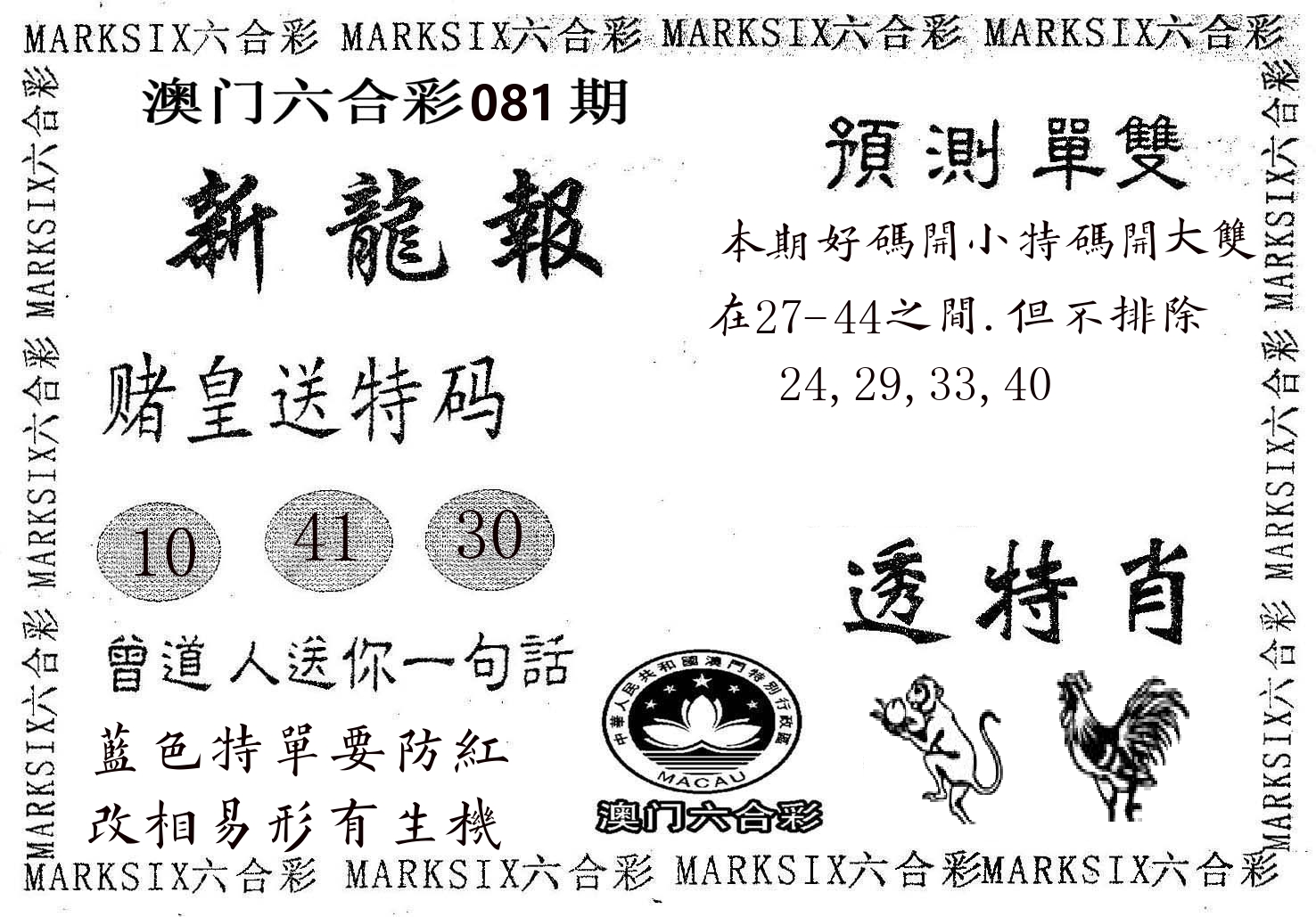 新龙报 第81期