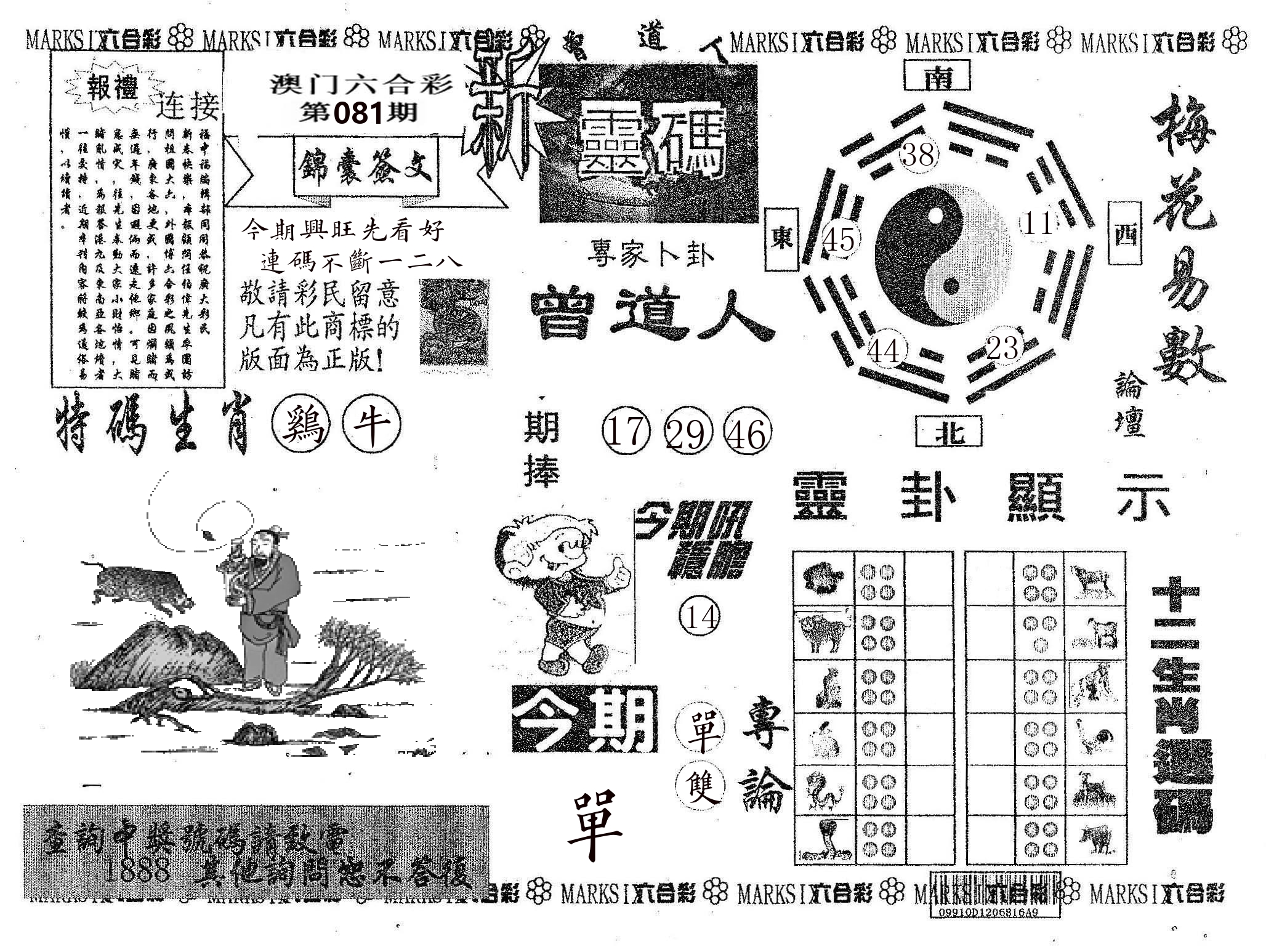 新灵码 第81期