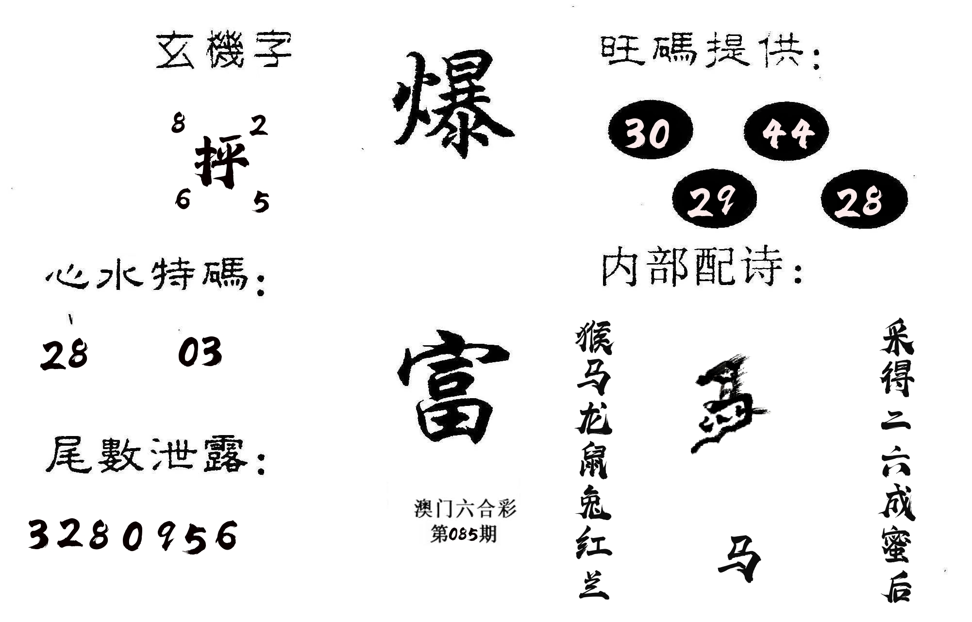 爆富 第85期