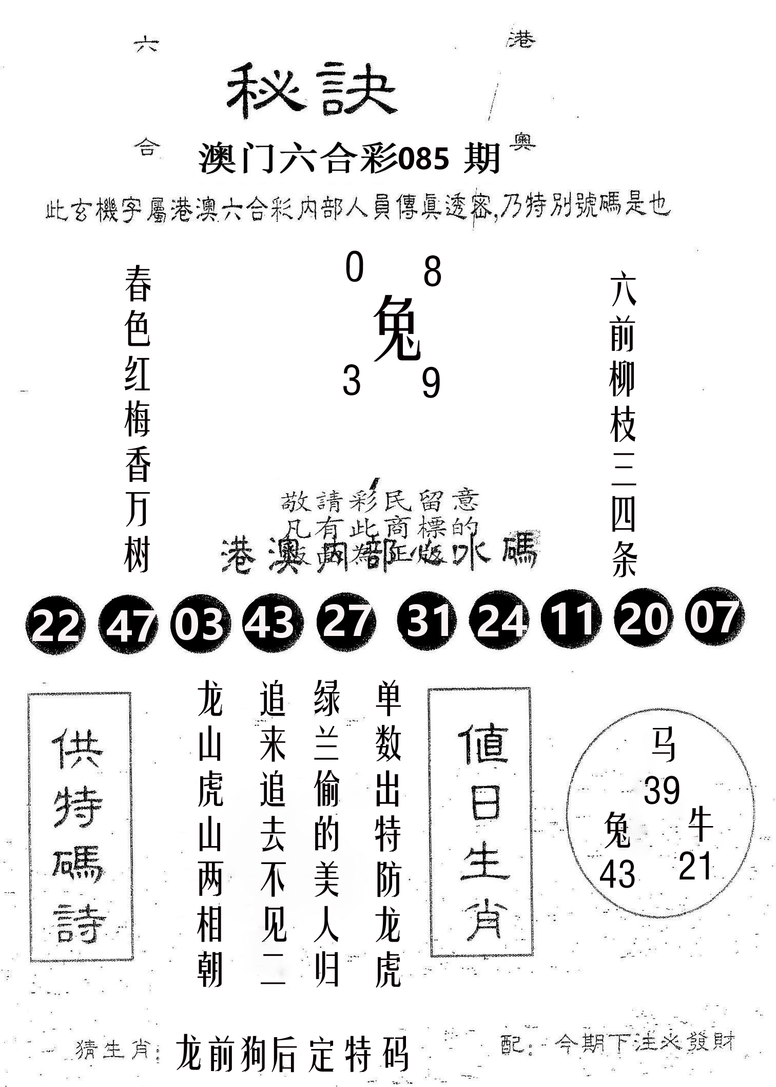 秘决 第85期